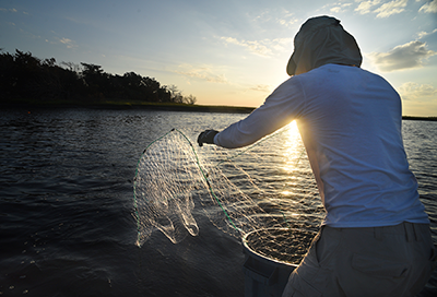 Net Fishing Turtle River